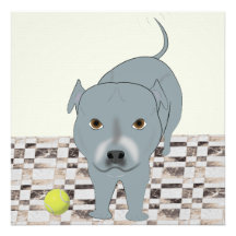 Staffy 24x24 Print