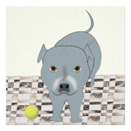 Staffy 24x24 Print Fotodruck