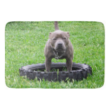 Staffy Bull Terrier Time to Play,