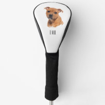 Staffy