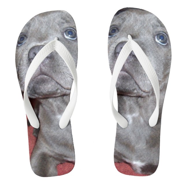 Staffy Puppy Sooky Eyes, Flip Flops (Fußbett)