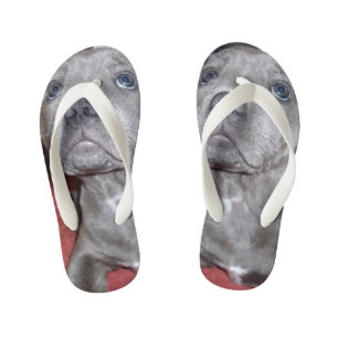 Staffy Puppy Sooky Eyes, Kinderbadesandalen
