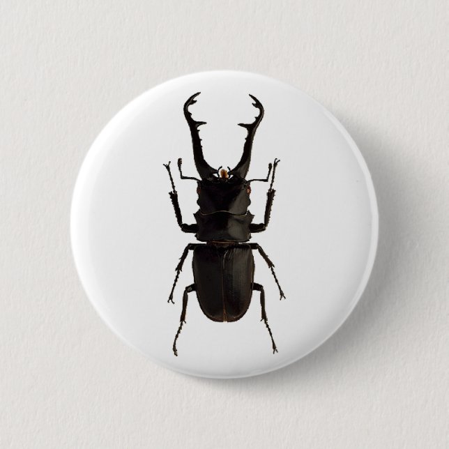 Stag Beetle Button (Vorderseite)
