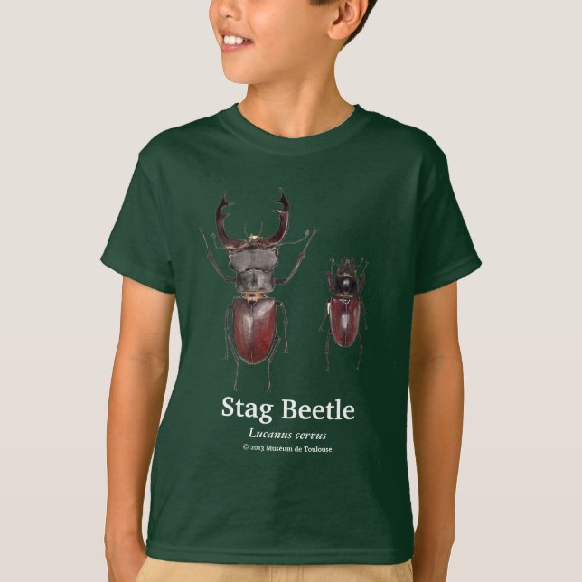 Stag Beetle,Lucanus cervus T-Shirt (Vorderseite)
