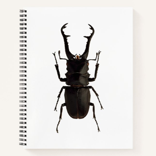 Stag Beetle Notizbuch (Vorderseite)