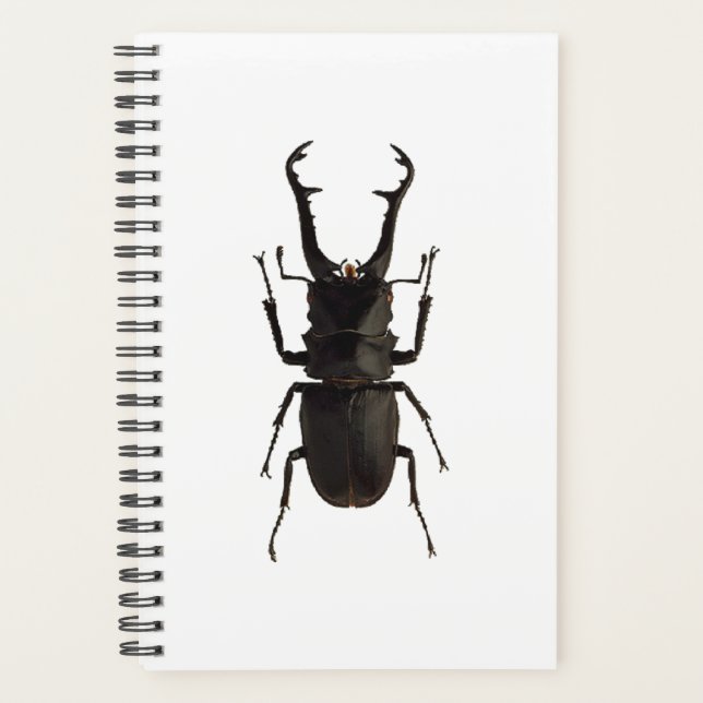 Stag Beetle Planer (Vorderseite)