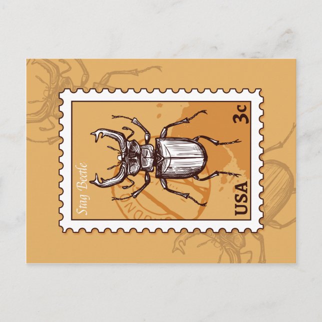 Stag Beetle Postkarte (Vorderseite)