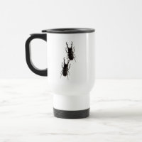 Stag Beetle