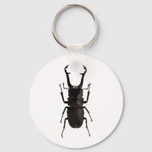 Stag Beetle Schlüsselanhänger
