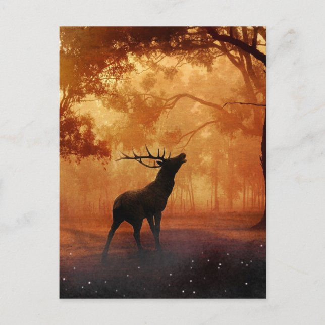Stag bei Sunset Postkarte (Vorderseite)