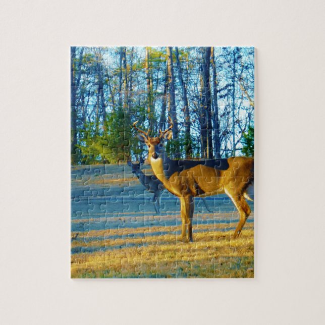 Stag / Buck Deer, hellblauer Himmel (Vertikal)
