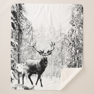 Stag Deer Wildlife Snow Winterwald Sherpadecke