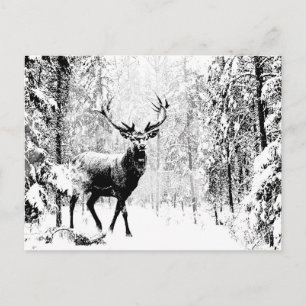 Stag Deer Winter Forest Wildlife Tierwelt Kunst, D Postkarte