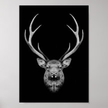 Stag-Plakat