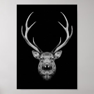 Stag-Plakat Poster