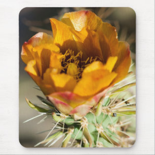 Staghorn Cholla Blüte Mousepad
