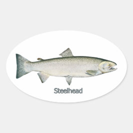 Stahlkopf (Regenbogenforelle) Ovaler Aufkleber