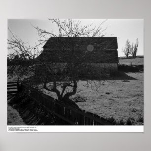 Stall, gegen die Sonne (Flare Spot), März 1962 Poster