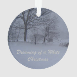 Stall in Maine Blizzard Ornament