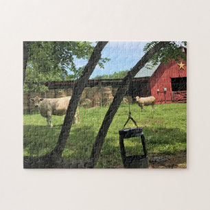 Stall & Kühe, ländliches North Carolina Canvas Pri