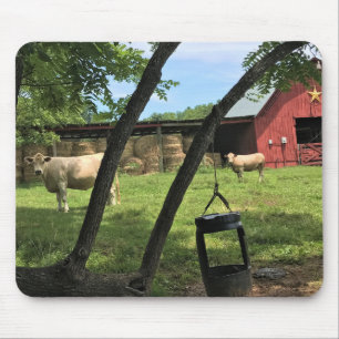 Stall & Kühe, ländliches North Carolina Canvas Pri Mousepad