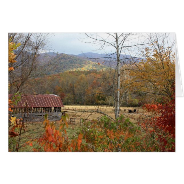 Stall mit Kühen (Vorderseite (Horizontal))