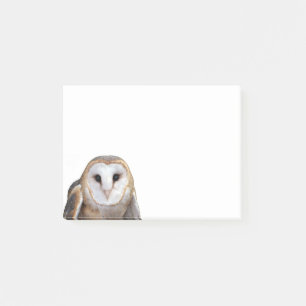 Stall Owl Foto 4x3 Postit Notes Stationery Post-it Klebezettel