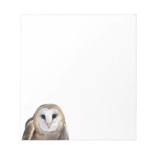 Stall Owl Foto Mitteilungskarten Stationierung Notizblock