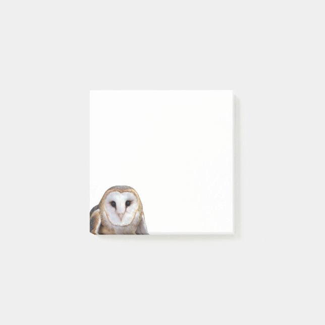 Stall Owl Foto Post-it Notes Stationery Post-it Klebezettel (Vorderseite)