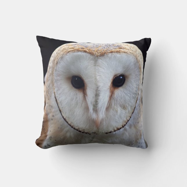 Stall Owl Kissen (Vorderseite)
