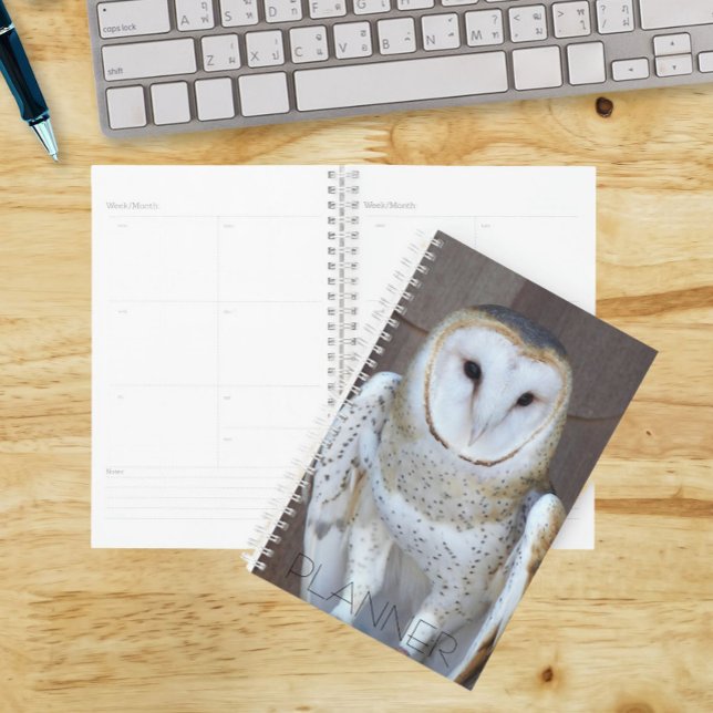 Stall Owl Raptor Foto Planer (In Situ)