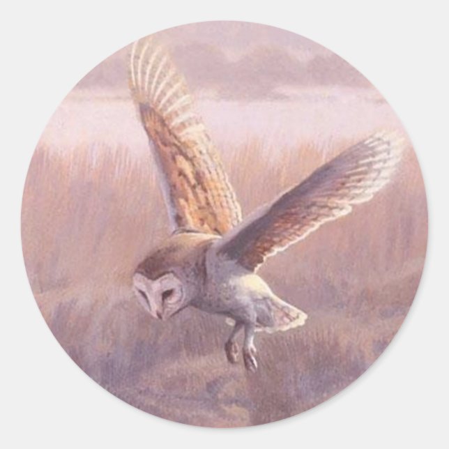 Stall Owl Round Stickers (Vorderseite)
