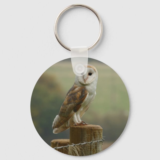 Stall Owl Schlüsselring Schlüsselanhänger (Vorderseite)