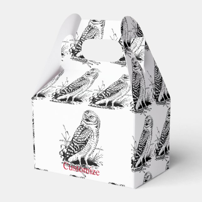 Stall Owl Thunder_Cove Geschenkschachtel (Vorderseite)