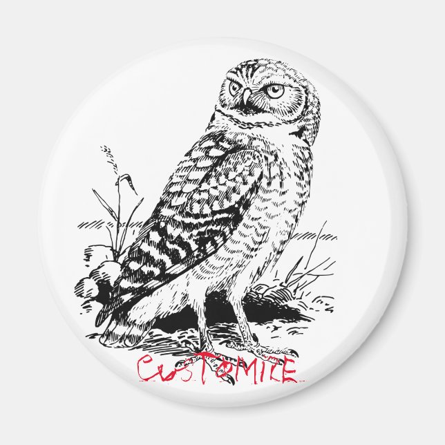 Stall Owl Thunder_Cove Magnet (Vorne)