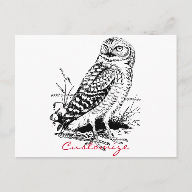 Stall Owl Thunder_Cove Postkarte (Vorderseite)