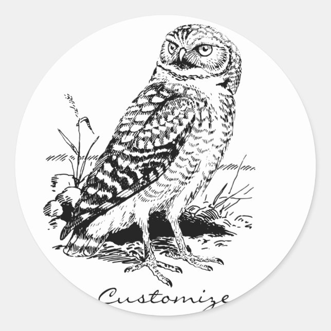 Stall Owl Thunder_Cove Runder Aufkleber (Vorderseite)