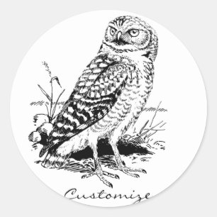 Stall Owl Thunder_Cove Runder Aufkleber