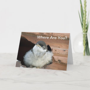 Stall Schlucken Valentine Karte