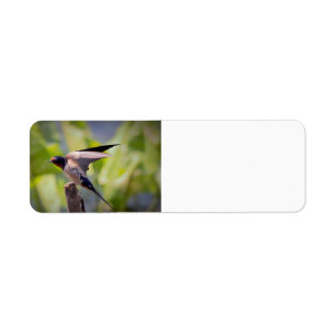 Stall Swallow Address Labels