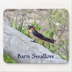 Stall Swallow auf Zaun Mousepad