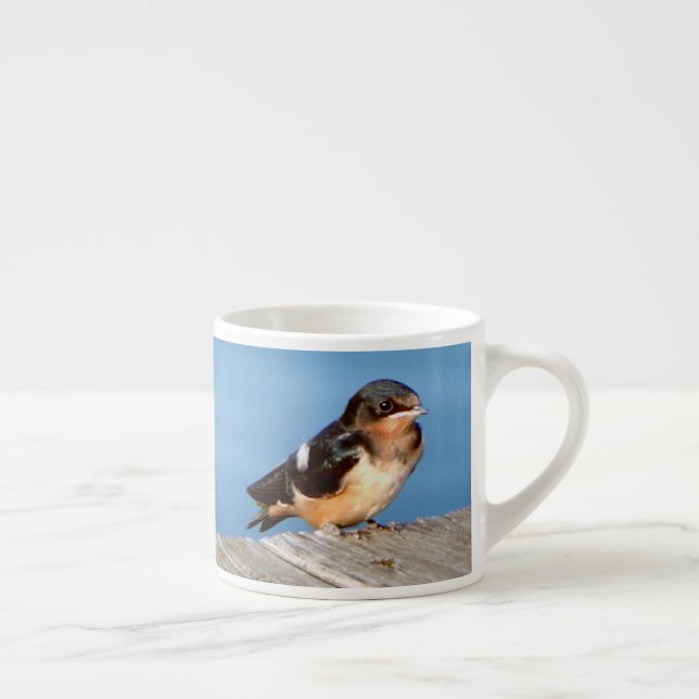 Stall Swallow Espresso oder Jumbo Tasse (Rechts)