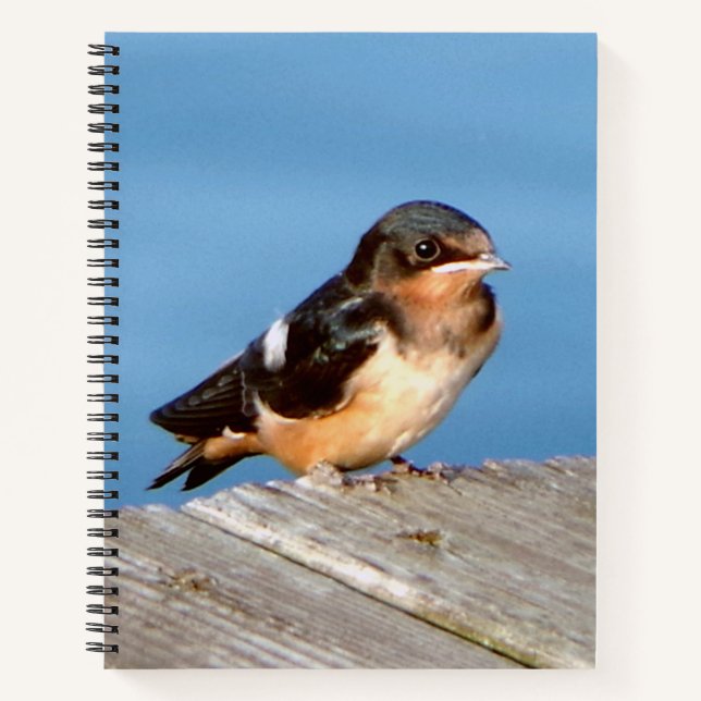 Stall Swallow Notebook Notizbuch (Vorderseite)