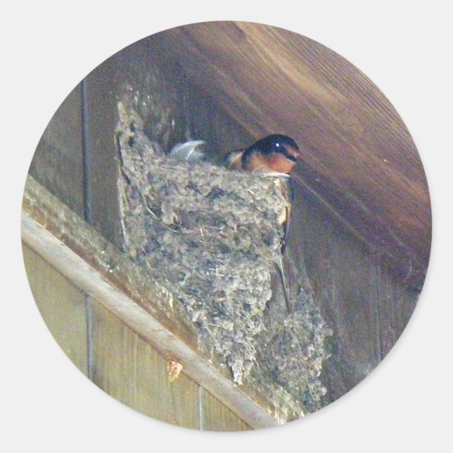 Stall Swallow Serie Runder Aufkleber (Vorderseite)