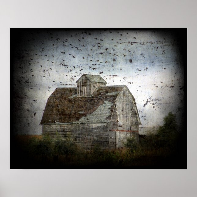Stall und Vögel Grunge Poster (Vorne)