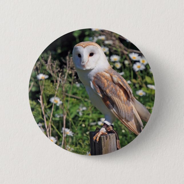 Stallhuhn Button (Vorderseite)