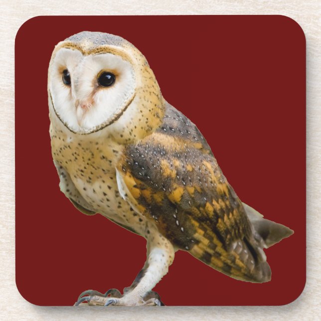 Stallhuhn Getränkeuntersetzer (Vorderseite)