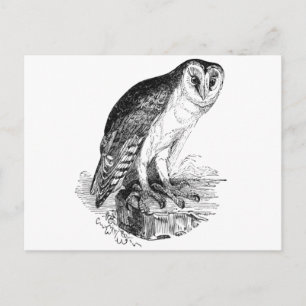 Stallhuhn Postkarte