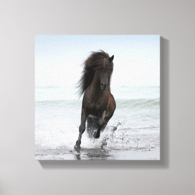 Stallion am Strand | Nordatlantik Leinwanddruck (Vorderseite)