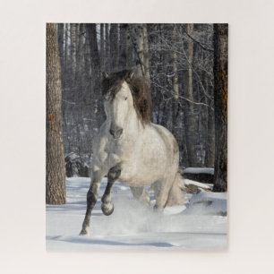 Stallion dans le puzzle de la neige